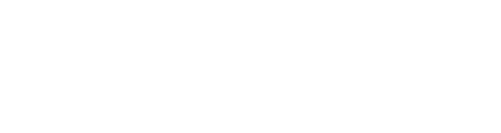 NashvilleStandUp.com 2018 logo